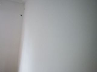 墙、顶面乳胶漆