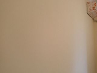 墙、顶面乳胶漆及墙纸铺贴