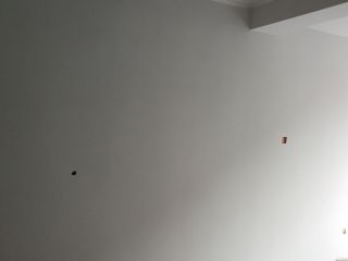 墙、顶面腻子批嵌
