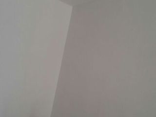 墙、顶面乳胶漆