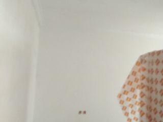 墙、顶面腻子批嵌