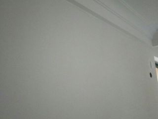 墙、顶面腻子批嵌