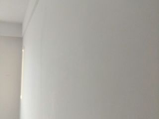 墙、顶面乳胶漆