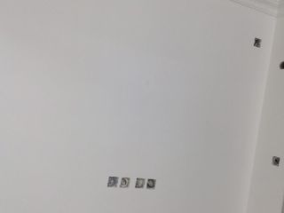 墙、顶面乳胶漆