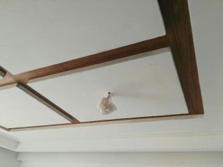 成品门及墙纸铺贴