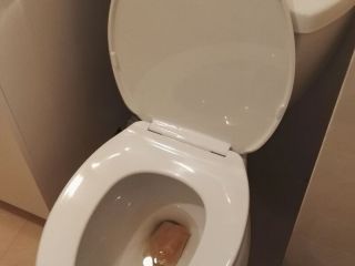 竣工验收