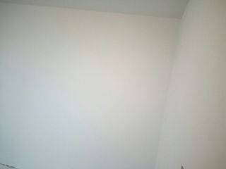 墙、顶面乳胶漆及墙纸铺贴