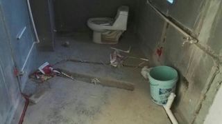 日常巡检