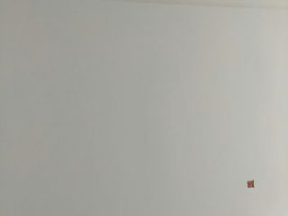 墙、顶面腻子批嵌