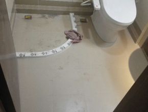 西藏南路688弄
