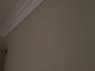 墙、顶面乳胶漆及墙纸铺贴