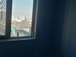 墙、顶面乳胶漆