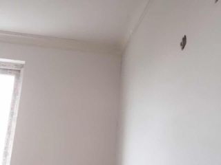 墙、顶面腻子批嵌