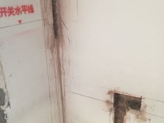 日常巡检