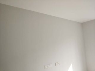 墙、顶面乳胶漆