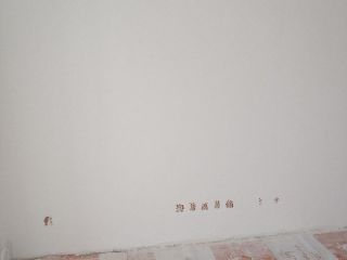 墙、顶面乳胶漆