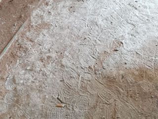 日常巡检