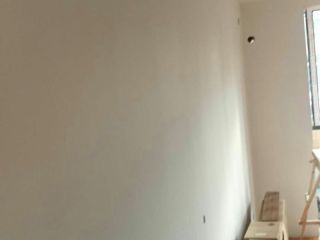 墙、顶面乳胶漆
