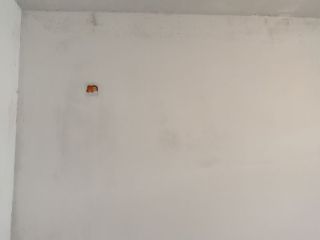 墙、顶面腻子批嵌