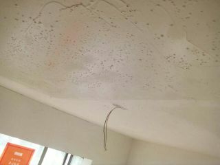 墙、顶面腻子批嵌