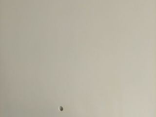 现场木制品造型施作