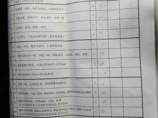 墙、顶面乳胶漆