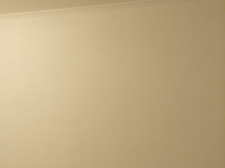 墙、顶面乳胶漆