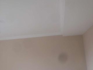 墙、顶面乳胶漆