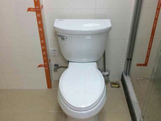 成品门及墙纸铺贴