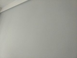 墙、顶面乳胶漆