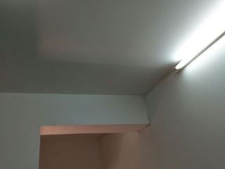 墙、顶面乳胶漆