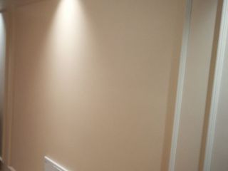 墙、顶面乳胶漆