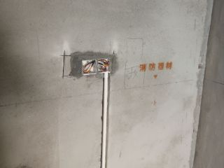日常巡检