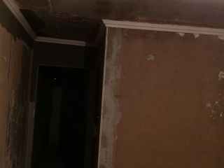 现场木制品造型施作