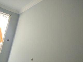 墙、顶面乳胶漆