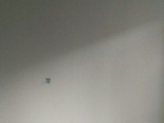 墙、顶面乳胶漆及墙纸铺贴