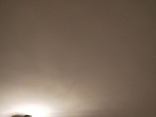墙、顶面腻子批嵌