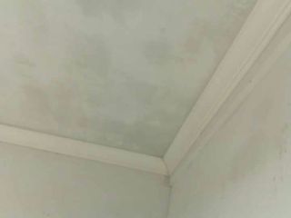 现场木制品造型施作