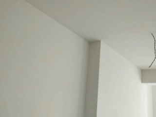 墙、顶面腻子批嵌