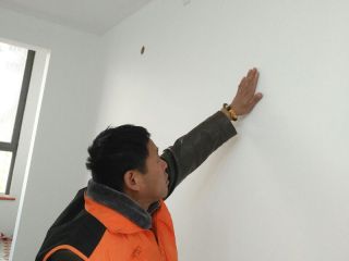 墙、顶面乳胶漆