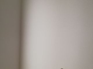 墙、顶面腻子批嵌