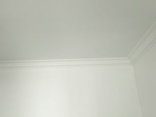 墙、顶面乳胶漆