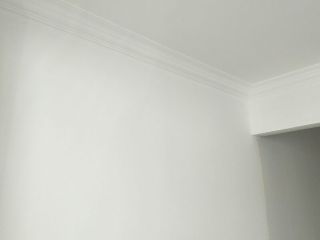 墙、顶面乳胶漆