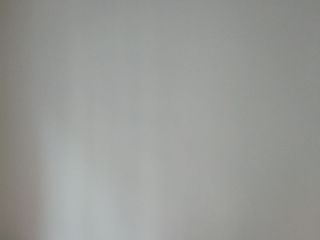 墙、顶面乳胶漆