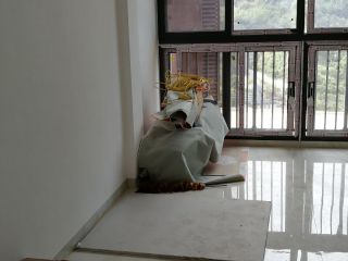 现场木制品造型施作