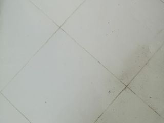 厨房、卫生间墙砖施作