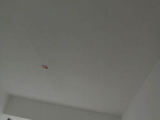 墙、顶面乳胶漆