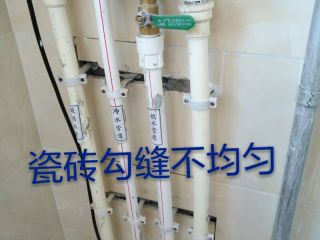 日常巡检