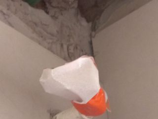日常巡检