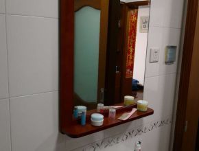 上海春城